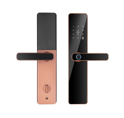 S819 Digital Smart Home Door Lock WiFi Enabled Tuya TTlock  & Fingerprint with Password Key Card Lock