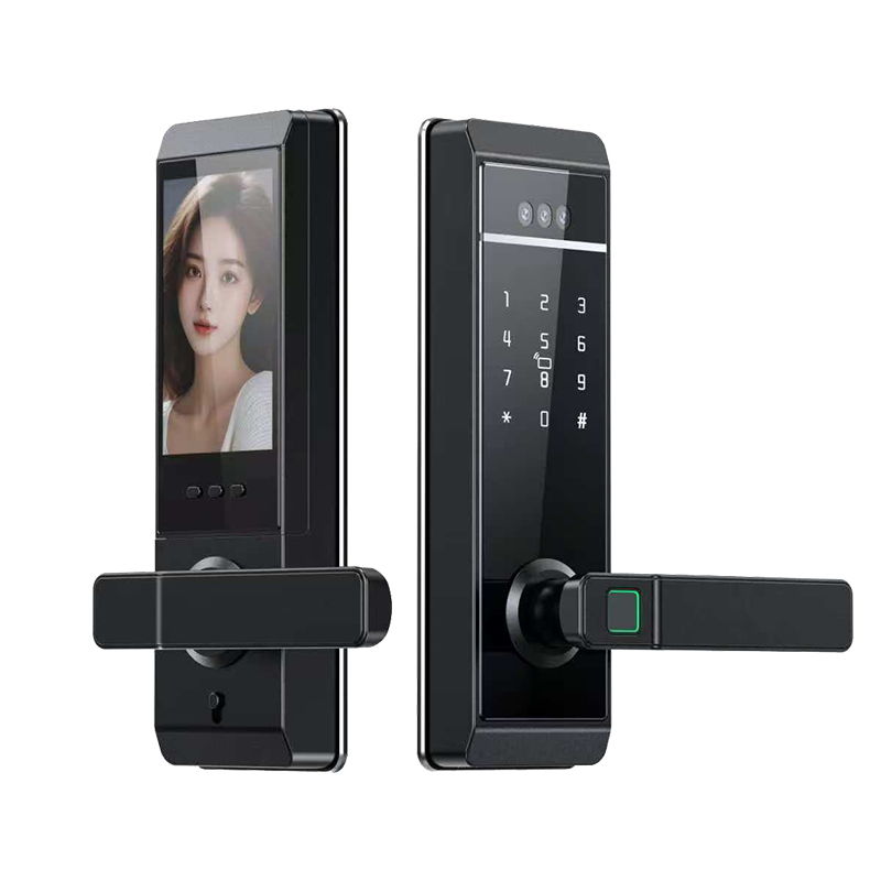 Qleung S810max Smart Home Lock With Card Code Key Fingerprint Palm Password Multi-unlock Ways