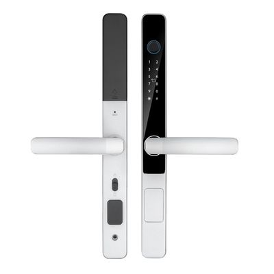 IP65 impermeable Tuya inteligente Wifi control remoto TTlock App bloqueo digital de la puerta