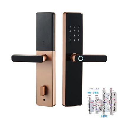 6068 Mortise TTlock Wifi Tuya Cerradura de puerta con huella digital y contraseña