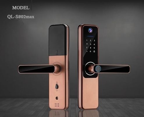 Cerradura de puerta de huellas dactilares de batería alcalina duradera Tuya Bluetooth Cerradura de puerta de huellas dactilares