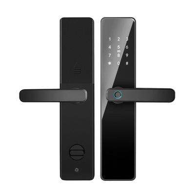 Qleung S819 Puerta de aluminio de huellas digitales WiFi habilitado Tuya TTlock con contraseña Tarjeta clave para el hogar