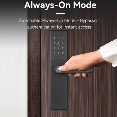 Qleung S851 Tuya Smart Door Lock con almacenamiento de datos en la nube cilindro de bloqueo de grado B y red Wi-Fi